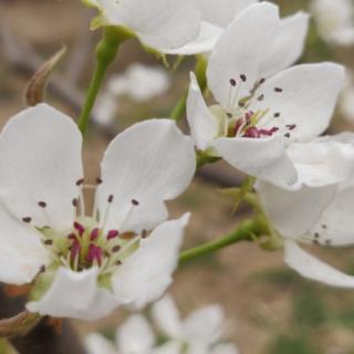 清明节雨思