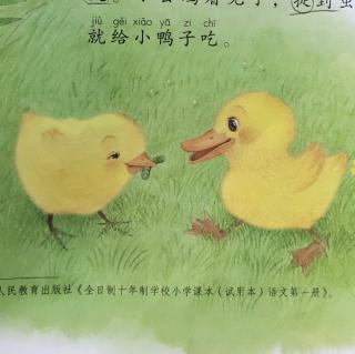 靳云贺 读书之《小公鸡和小鸭子》