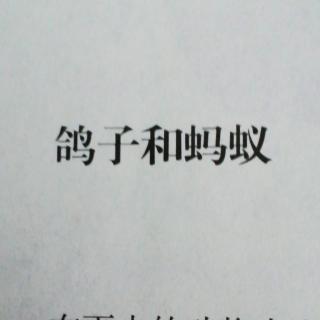 《鸽子和蚂蚁》