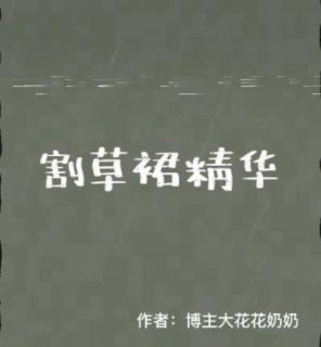 割草裙精华财富篇18不优秀不配活与人生的意义