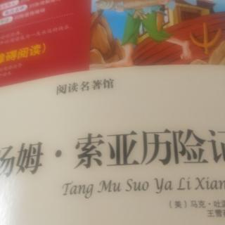 汤姆索亚历险记