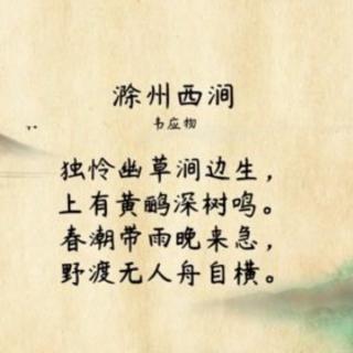 古诗词朗诵：滁州西涧.韦应物