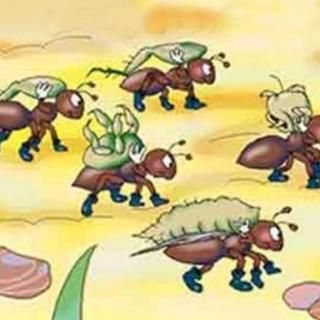 【旺旺电台】《小蚂蚁运花粉》