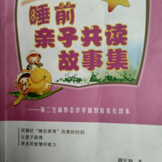 我们家的棉签藏哪儿了