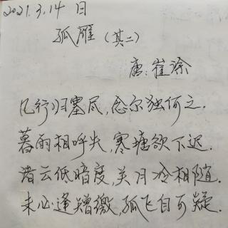 《孤雁》唐:崔涂 诵读:子梅