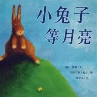 鑫幼故事分享第12期《小兔子等月亮》慧玲老师