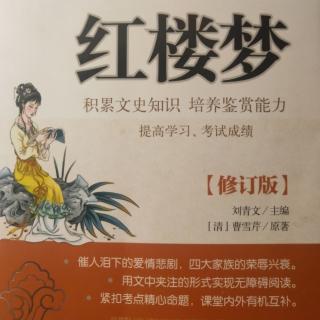 《红楼梦》(第一章)