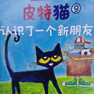 皮特猫9—认识了一个新朋友