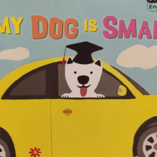 末末读绘本188-多多英语20-My Dog is Smart