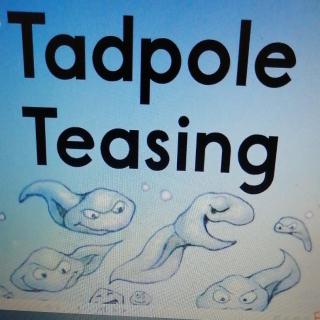 Tadpole Teasing蝌蚪逗趣