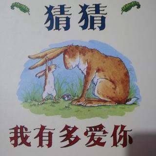 《猜猜我有多爱你》