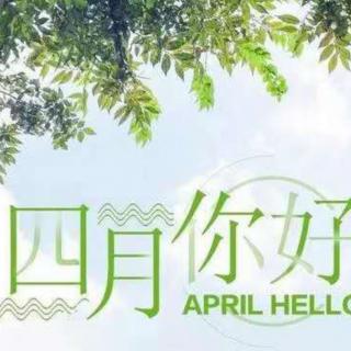 旋七第十五期4月2日