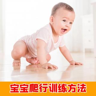 05、婴儿不会爬行怎么办好