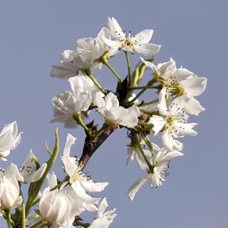 窗外的雨声，作者孙香芹