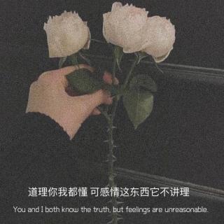 情感故事||生而敏感，孤独而快乐