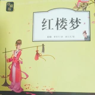 《红楼梦》15