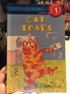 Cat Traps