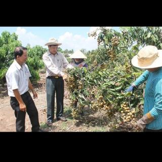 Sóc Trăng đón cơn mưa sau nhiều ngày nắng hạn