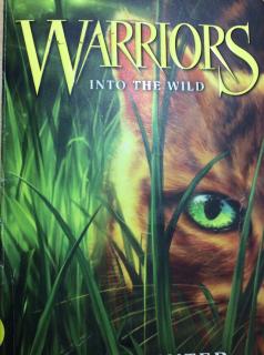 Warriors into the wild chapter 21