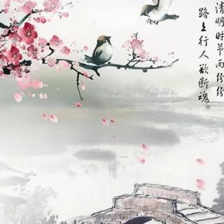 清明，岁月途中的泪滴——韩芳/诗，梅花/朗读