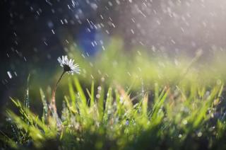 杜登龙｜以清明的名义，下一场思念的雨