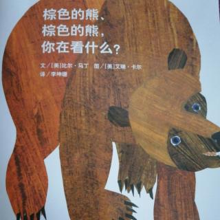 棕色的熊—徐佳豪