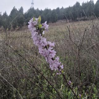 《美好的日子里》诵读：韩诵生涯规划