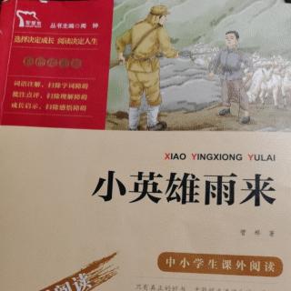 《小英雄雨来》