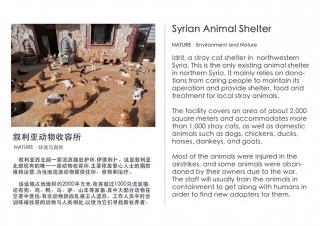 Syrian Animal Shelter