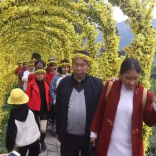 中国最美乡村之行 江岭花海(上)丨陈新平　主播：陈芬芳