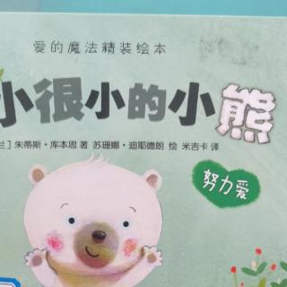 很小很小的小熊🐻