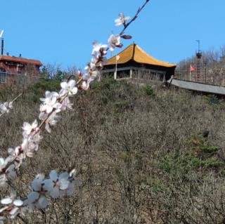 91.常建：《破山寺后禅院》