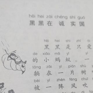 黑黑在诚实囯