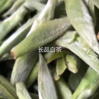 茶经