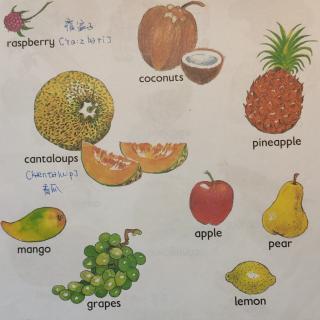 词典Fruit