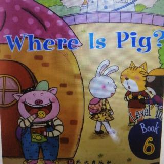 where is pig 单词+句子