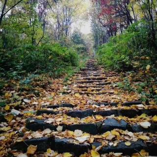 老岛峡《井陉石头村》