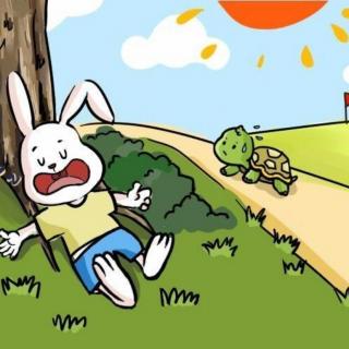 龟兔赛跑🐰🐢