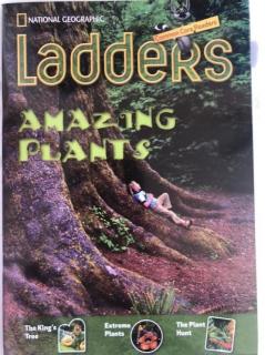 8_Apr_Nemo5_Day4_<Ladders-Amazing plants>