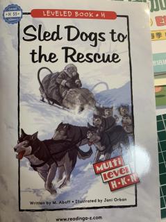 Sled Dogs to the Rescue