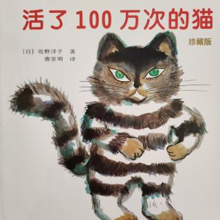 活了100万次的猫