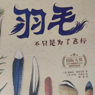 羽毛