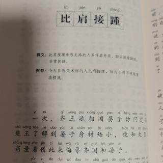 《比肩接踵》