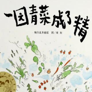 振宁•现代鲁班幼儿园小鲁班赖纯政《一园青菜成了精》