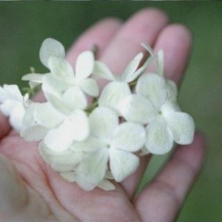 雨中漫步