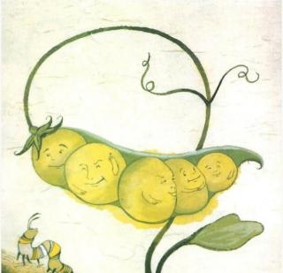 绘本故事——《五颗小豌豆》
