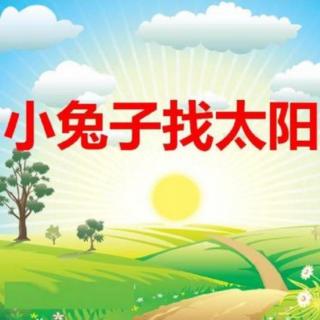 《小兔子🐰找太阳》