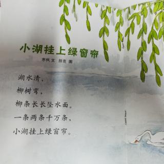 《小湖挂上绿窗帘》