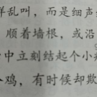 语文阅读