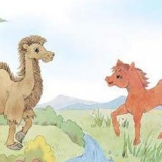 宋老师第57篇睡前故事🌻《小骆驼和小红马》